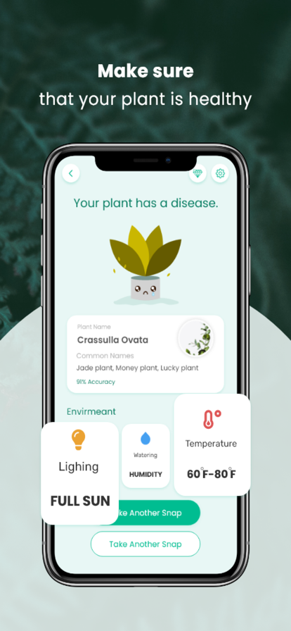 植物病害识别器软件app安卓V3.5