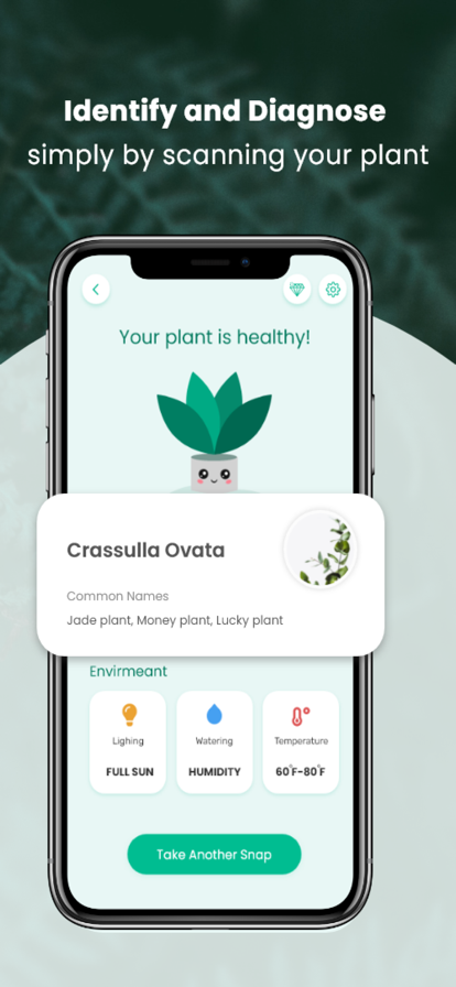 植物病害识别器软件app安卓V3.5