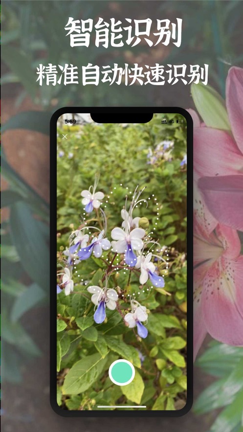 拍照识别植物-精准识花草虫鸟树木app软件