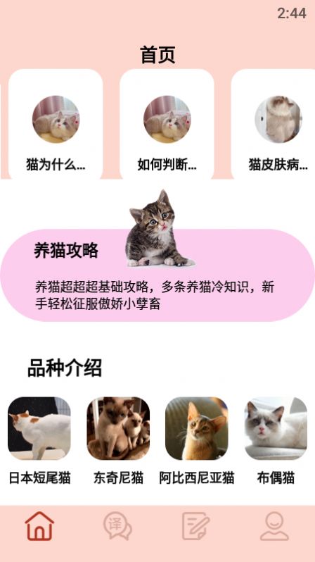 摸摸小猫猫语翻译app手机版下载 v1.1